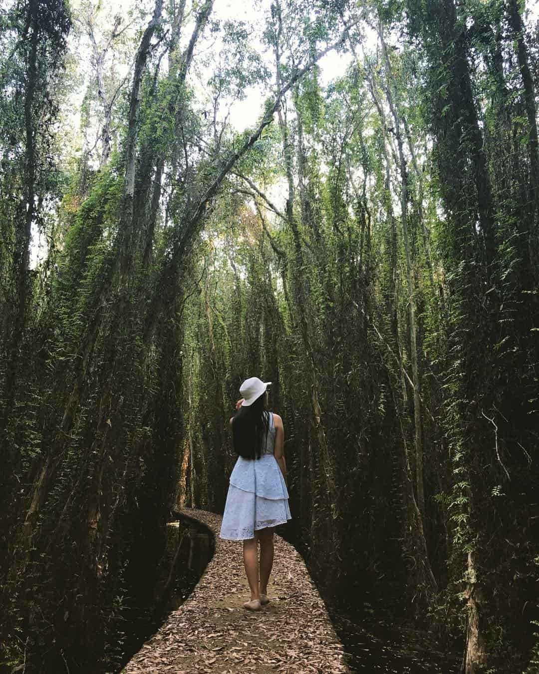 Con đường bê tông kéo dài 5km