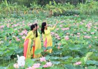 6 điểm đến không thể bỏ lỡ khi du lịch Long An