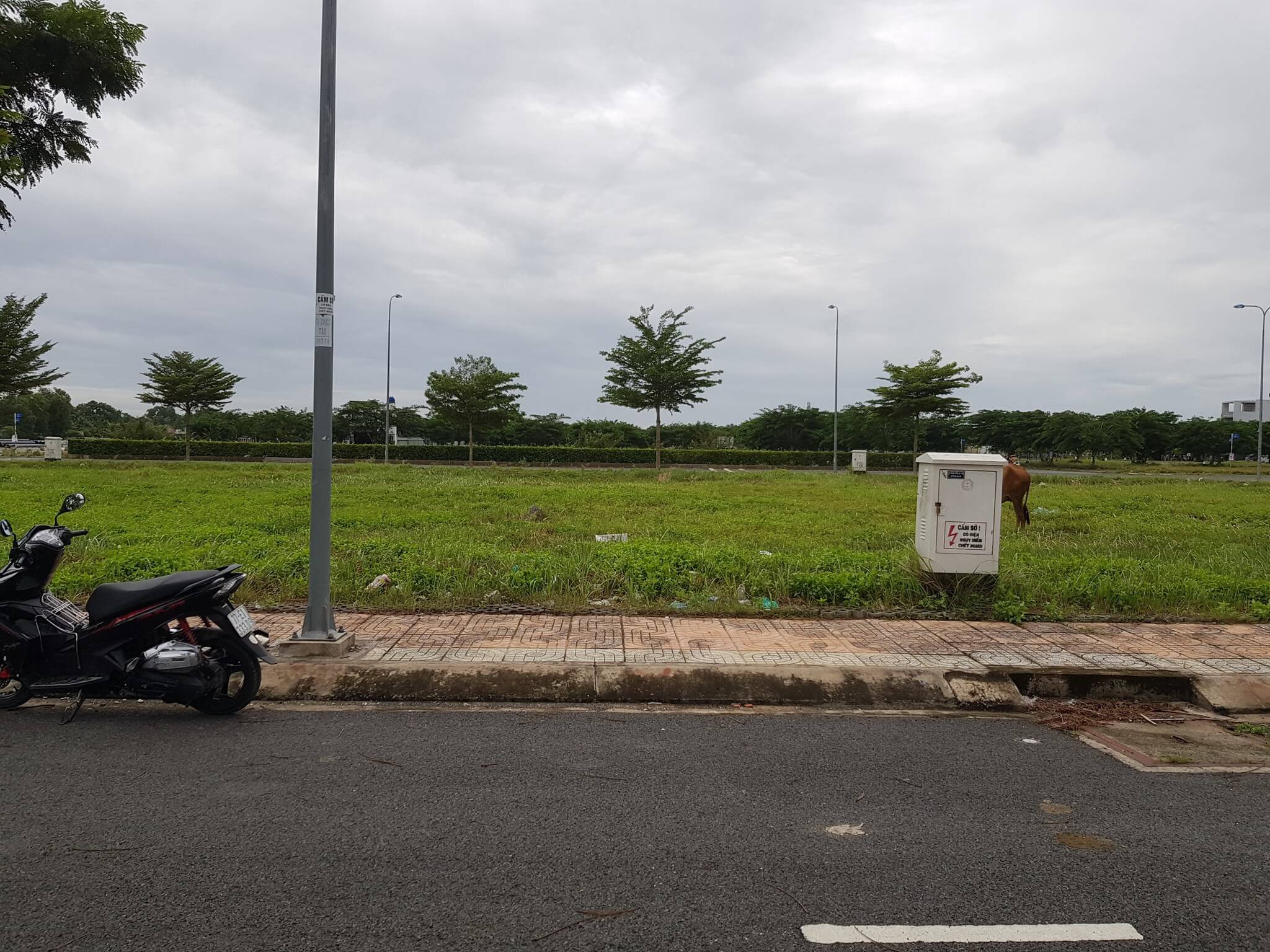 Đất nền huyện Bến Lức được quan tâm ngày một nhiều