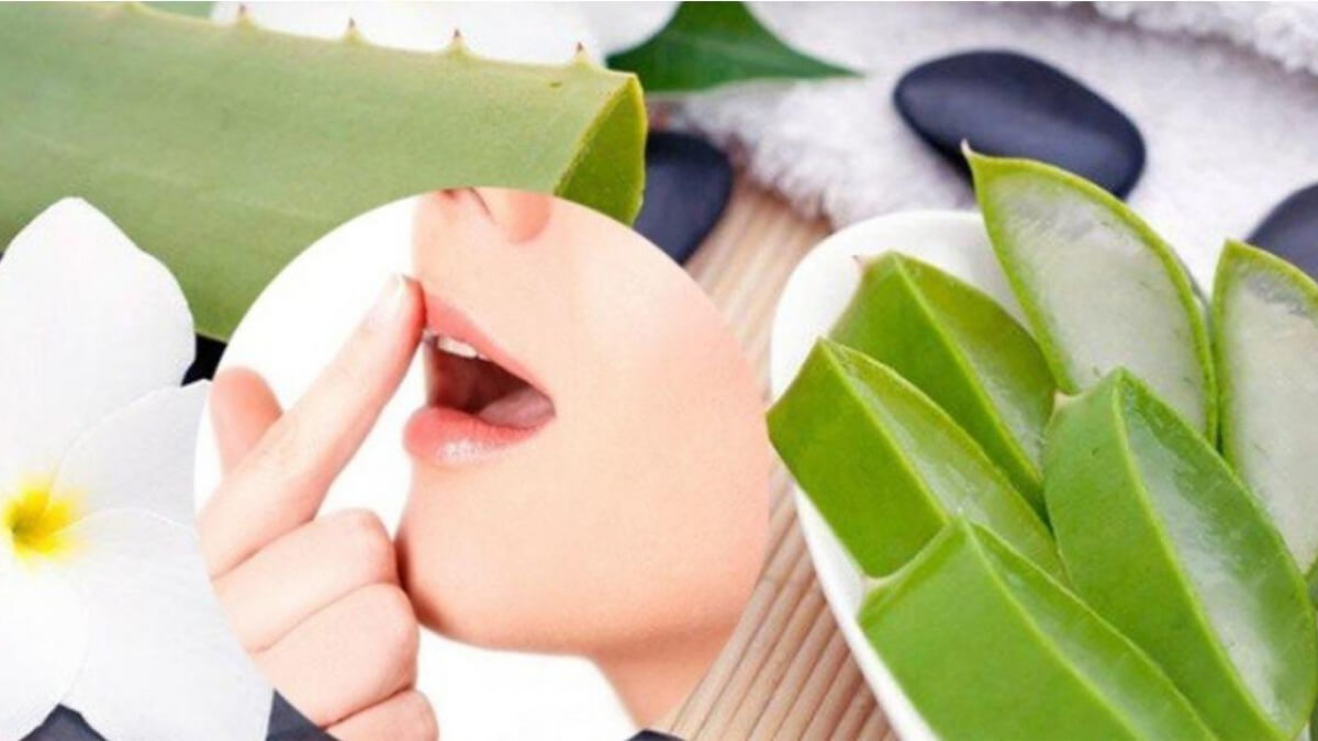 Những công dụng thần kì của nha đam trong làm đẹp 3