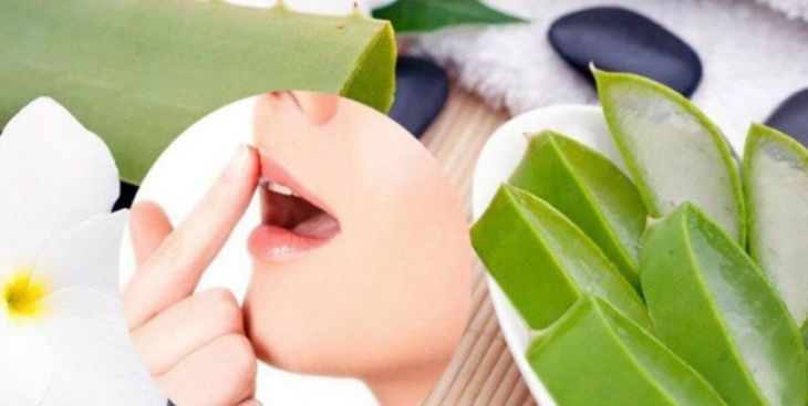 6 công dụng thần kỳ của nha đam trong làm đẹp