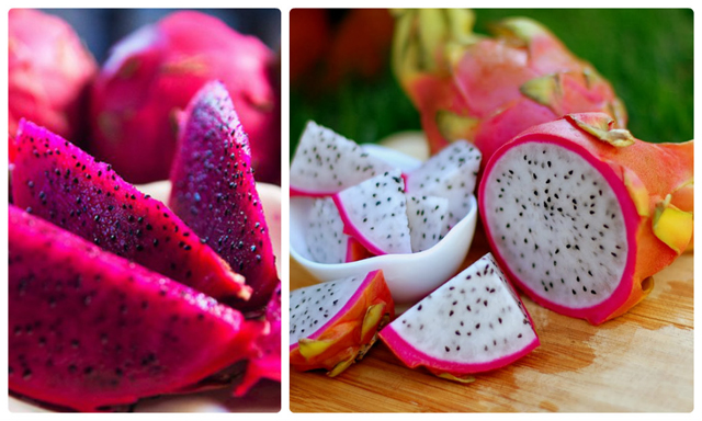 thanh long châu thành