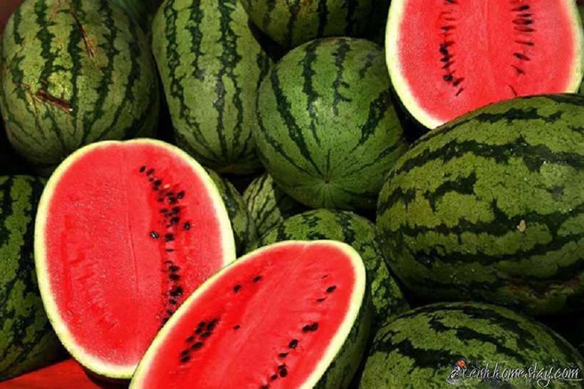 dưa hấu vỏ mỏng, ít hạt