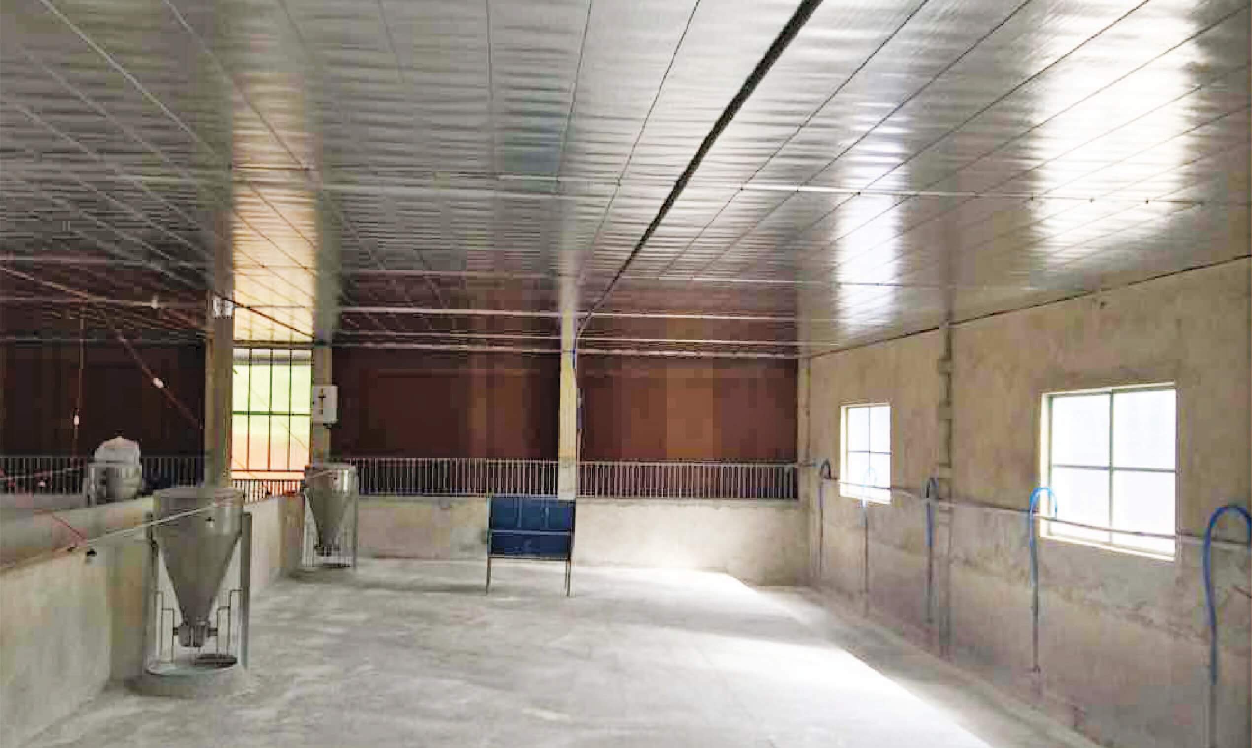 Nghề chăn nuôi ở Long An điêu đứng 2