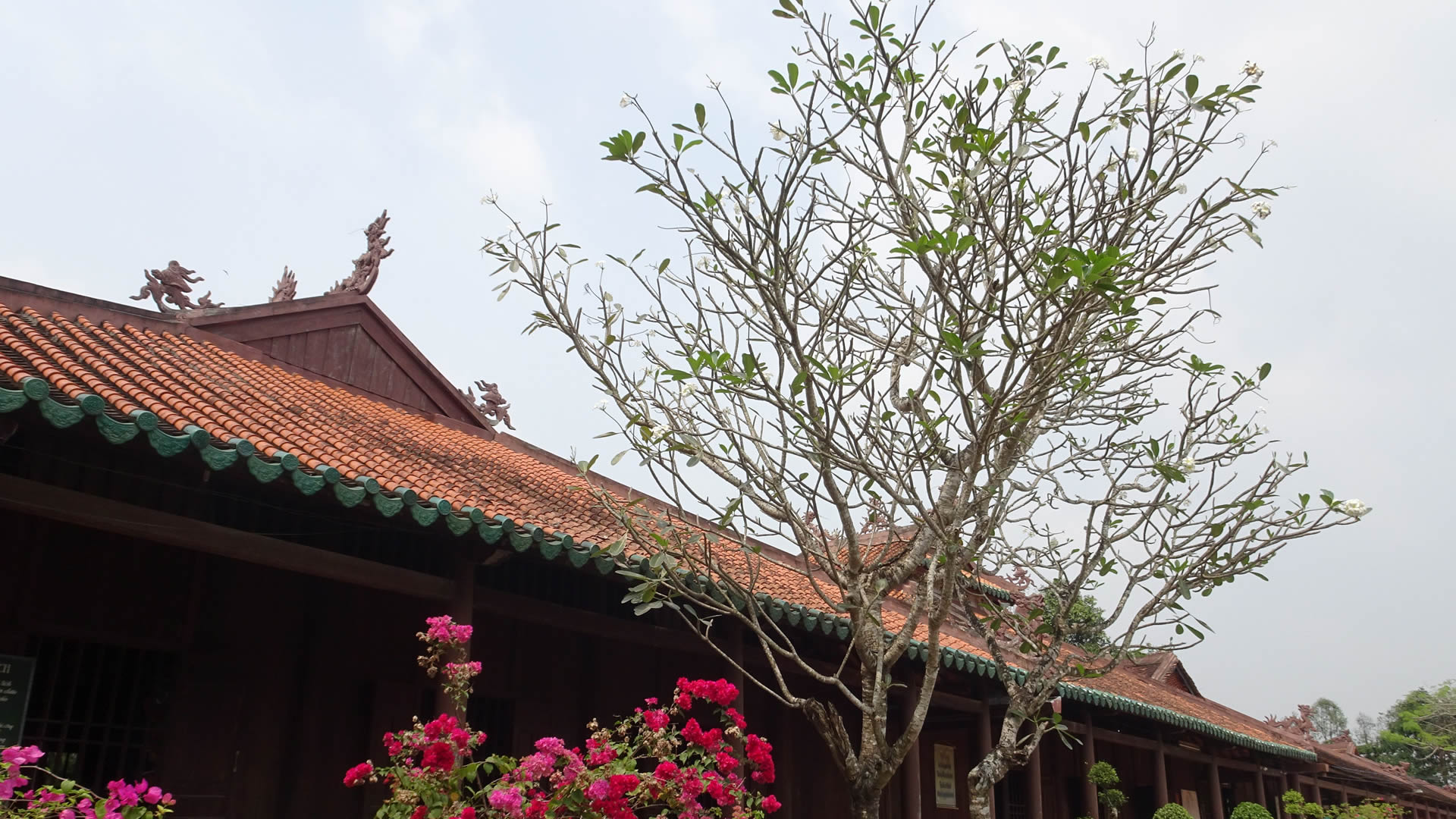 5&nbsp;địa&nbsp;điểm du lịch văn hóa tâm linh nổi tiếng tại Long An 5