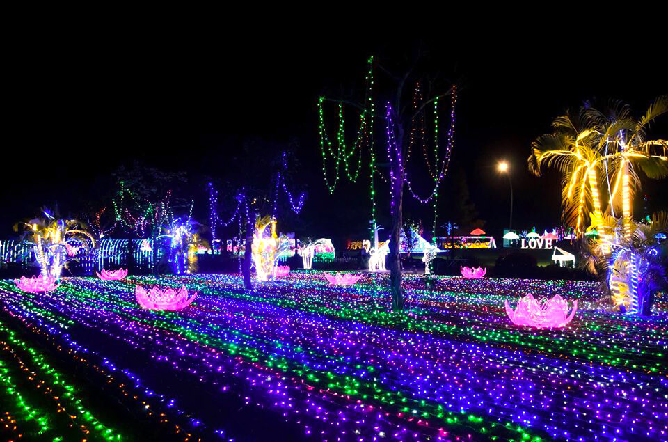 Khám phá Lễ hội Ánh sáng đầu tiên tổ chức tại Long An 4