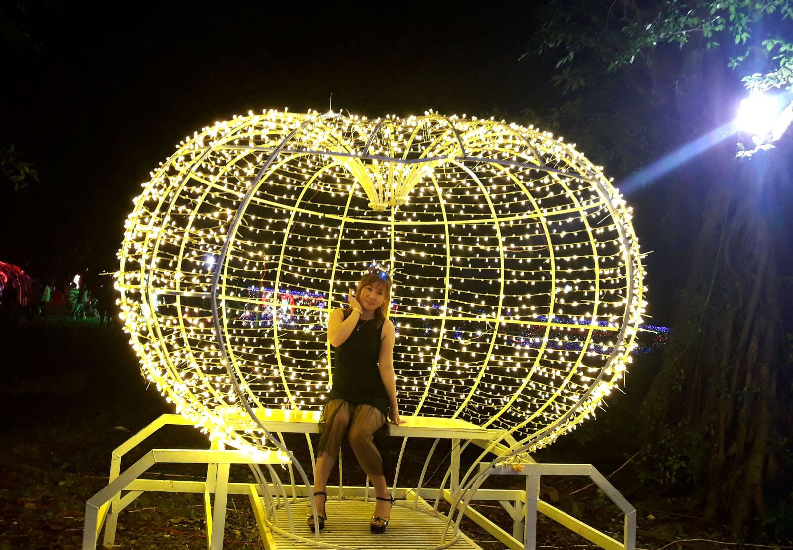 Khám phá Lễ hội Ánh sáng đầu tiên tổ chức tại Long An 5