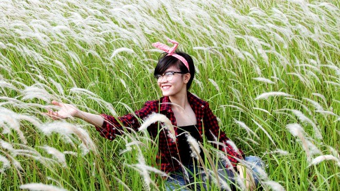 Say đắm cánh đồng lau trắng mướt ở Long An 1