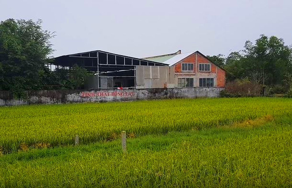 Tịnh thất Bồng Lai là nơi nào? 1