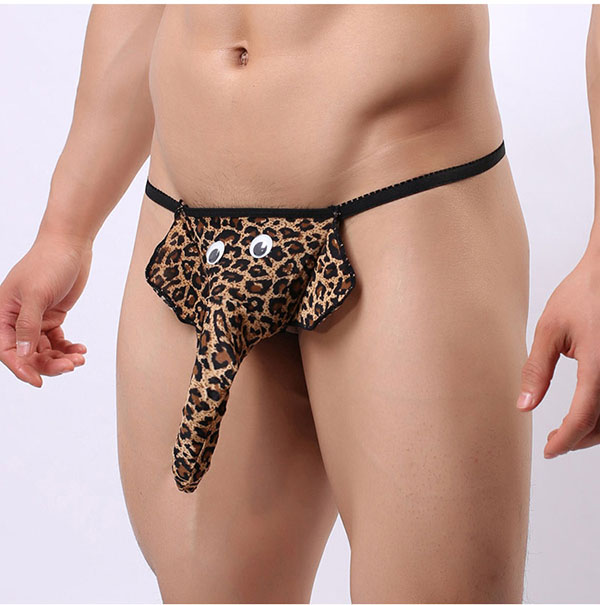 Sịp con voi mang đến phong cách mới lạ cho quý ông