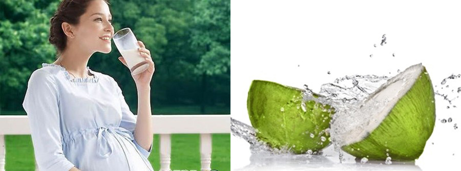 Uống nước dừa rất tốt cho sự phát triển của thai nhi