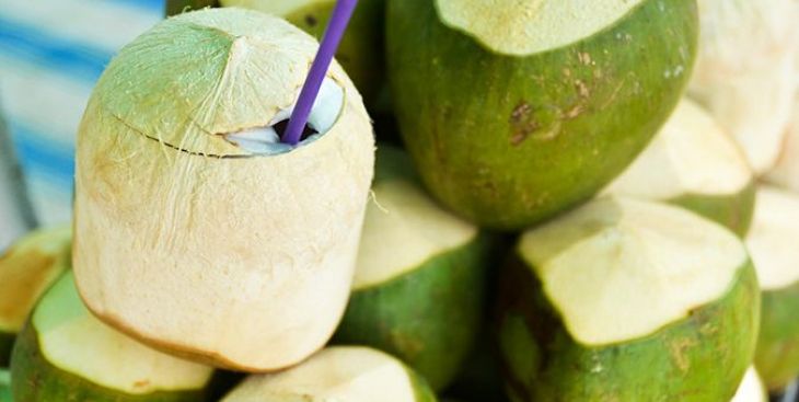 Uống nước dừa xiêm có tác dụng gì? Những lưu ý khi mua dừa xiêm
