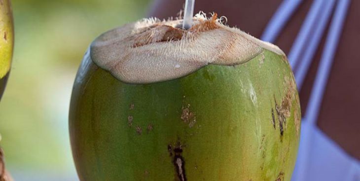 Vết thương hở uống nước dừa được không? (Giải đáp)