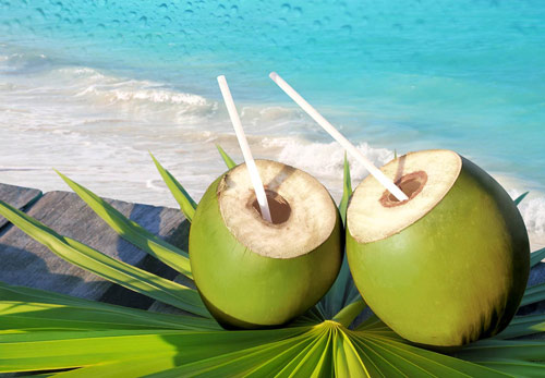 Nước dừa non có chứa nhiều chất dinh dưỡng hơn nước dừa già