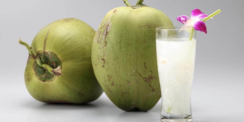 Nước dừa xiêm có tác dụng kháng vi khuẩn và chống viêm tốt