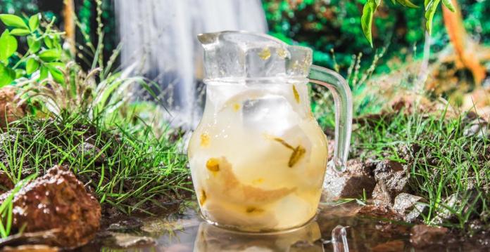  Chế biến nước dừa chanh cực kì đơn giản ngay tại nhà