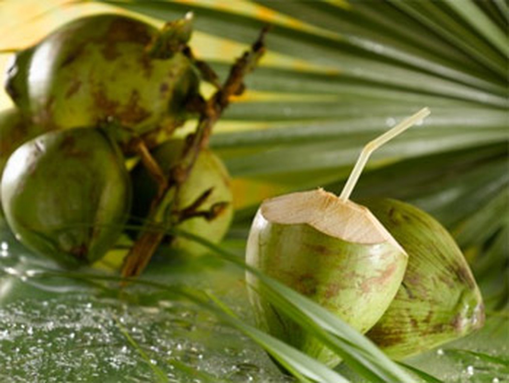  Bảo quản nước dừa không bị chua và bị mất chất dinh dưỡng