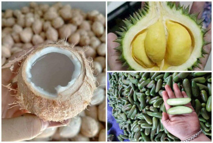 Ăn sầu riêng uống nước dừa không gây hại cho sức khỏe