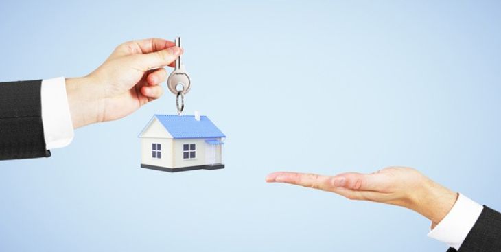 Cách chữa zona bằng nha đam đơn giản tại nhà