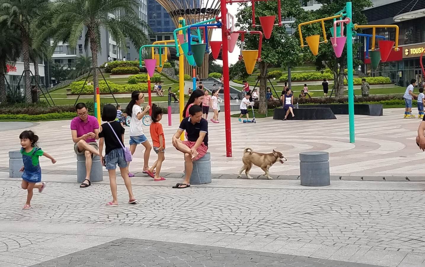 Từng chung cư sẽ có quy định nuôi chó mèo riêng