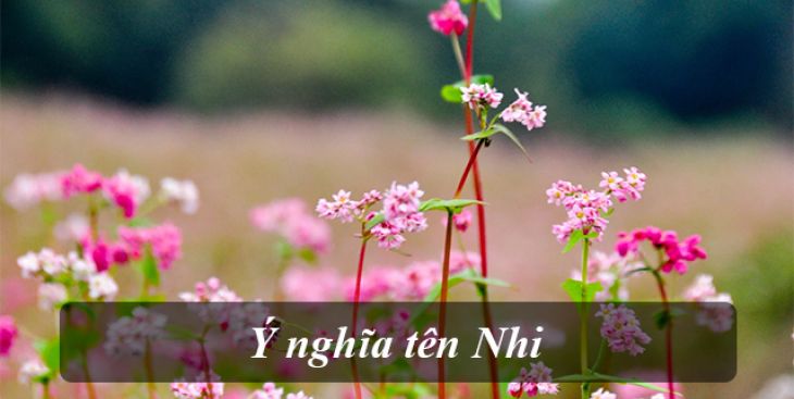 Ý nghĩa của tên Nhi là gì? Những cái tên đi kèm với Nhi hay nhất