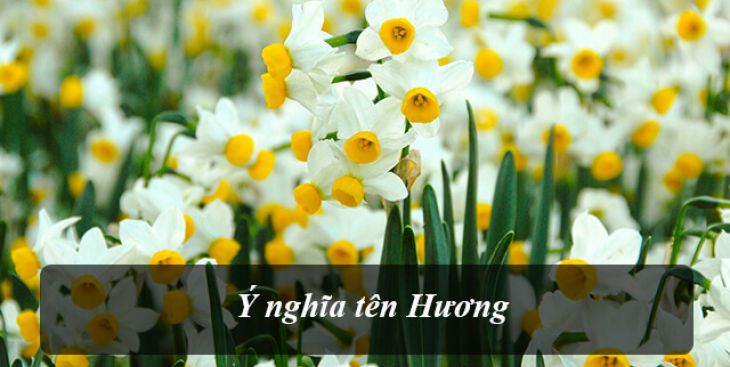 Ý nghĩa của tên Hương & Tên đệm đẹp với tên Hương