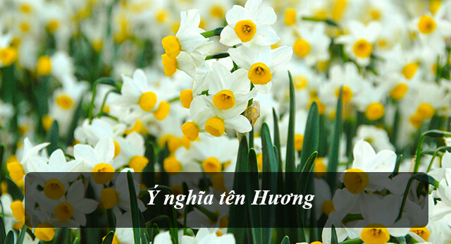 Tên Hương hàm chứa rất nhiều ý nghĩa độc đáo mà bố mẹ có thể tham khảo