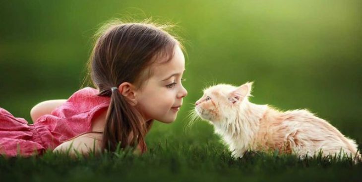 Ý nghĩa của tên Diệp và những bộ tên đệm cực đẹp với tên Diệp
