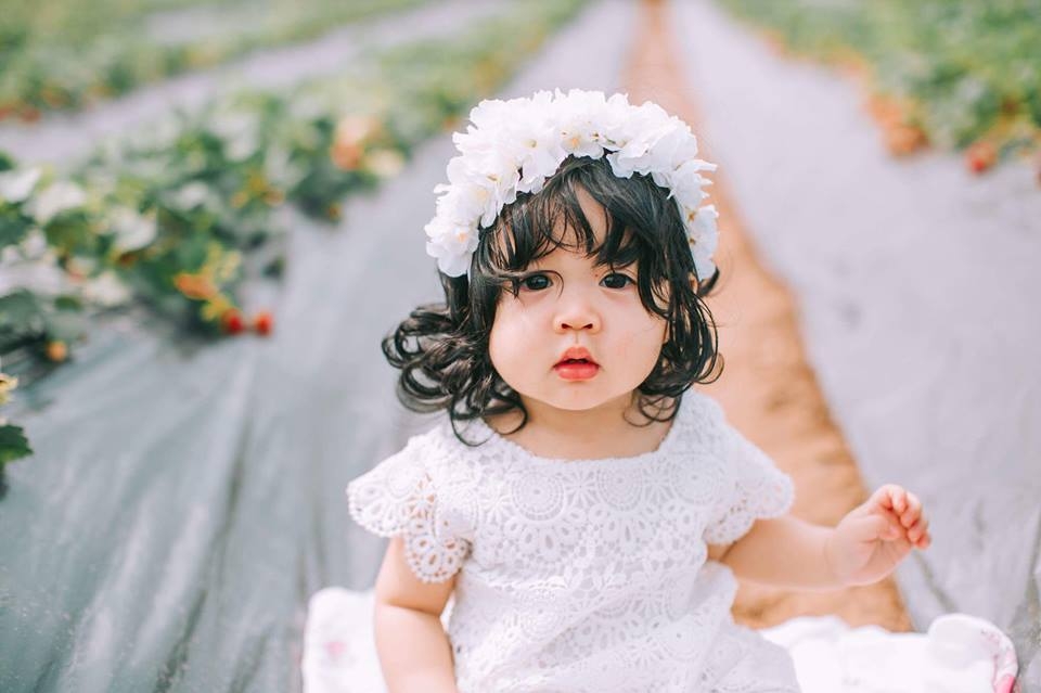 Đặt tên Ánh Quỳnh là muốn con có dung nhan xinh đẹp như một đóa quỳnh