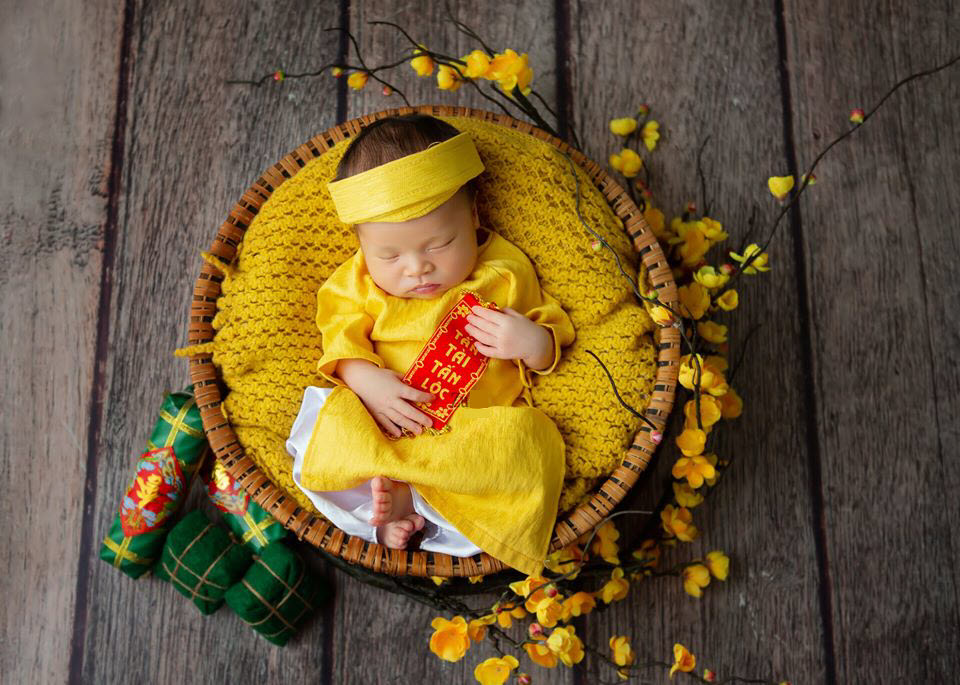 Mai là cành hoa mai rực rỡ báo hiệu mùa xuân và đem theo những điều tài lộc, may mắn