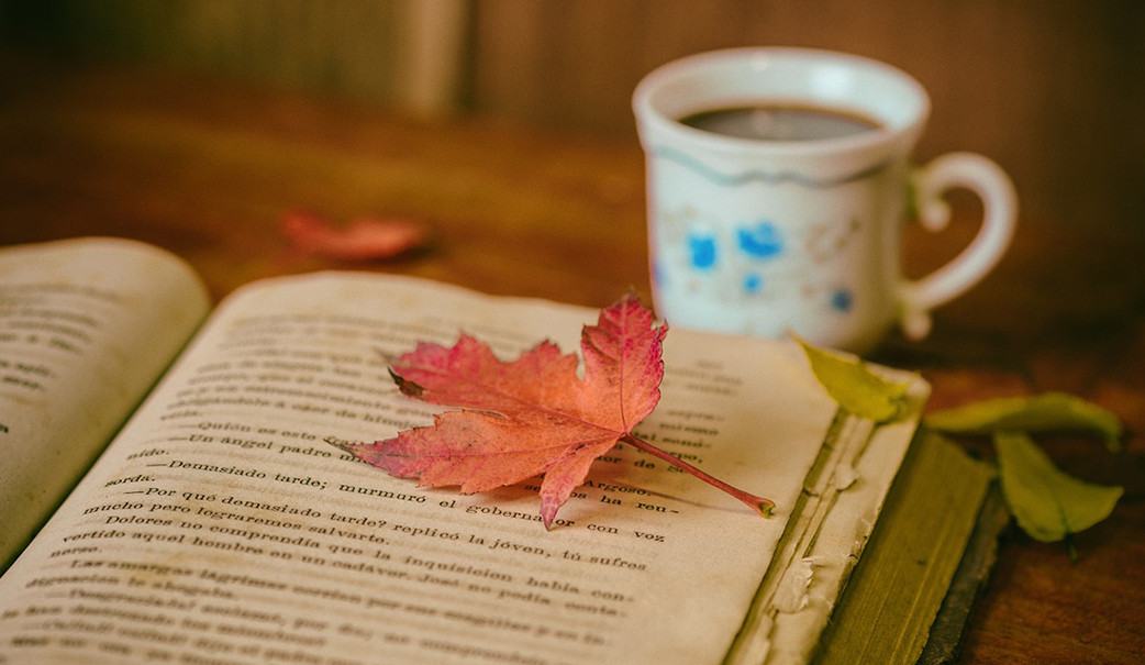 Đọc sách là thói quen mang lại nhiều lợi ích cho bạn