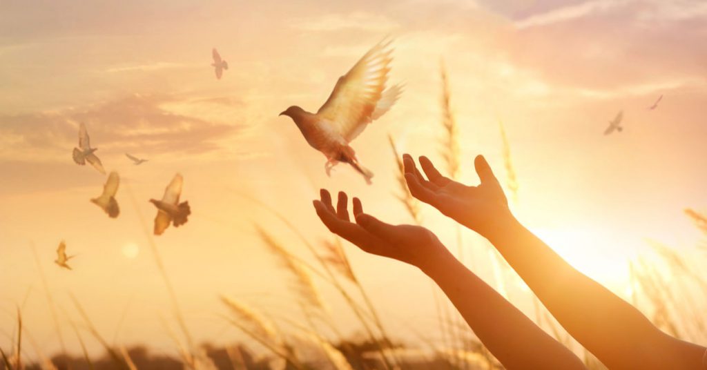 Quên thù hận và học cách tha thứ