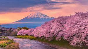 Học tiếng Anh và tiếng Nhật cùng lúc