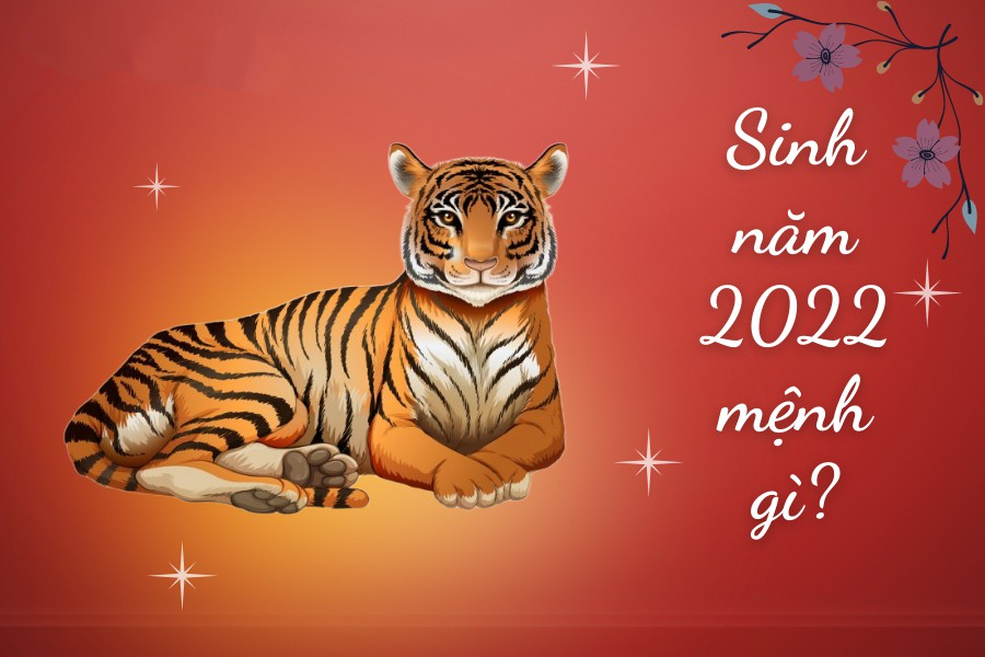 Con trai sinh năm 2022 cầm tinh con Hổ
