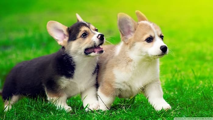 Đặt tên theo phong thủy mang đến may mắn, tài vận cho chủ nhân