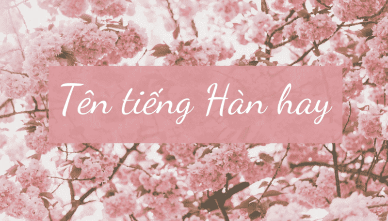 Tìm hiểu văn hóa đặt tên Hàn Quốc