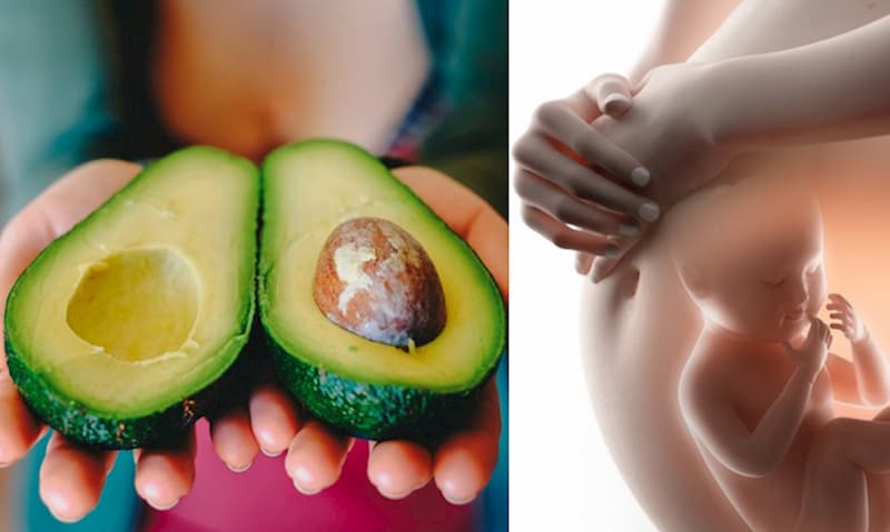 Ăn bơ giúp hỗ trợ đường tiêu hóa cho mẹ bầu