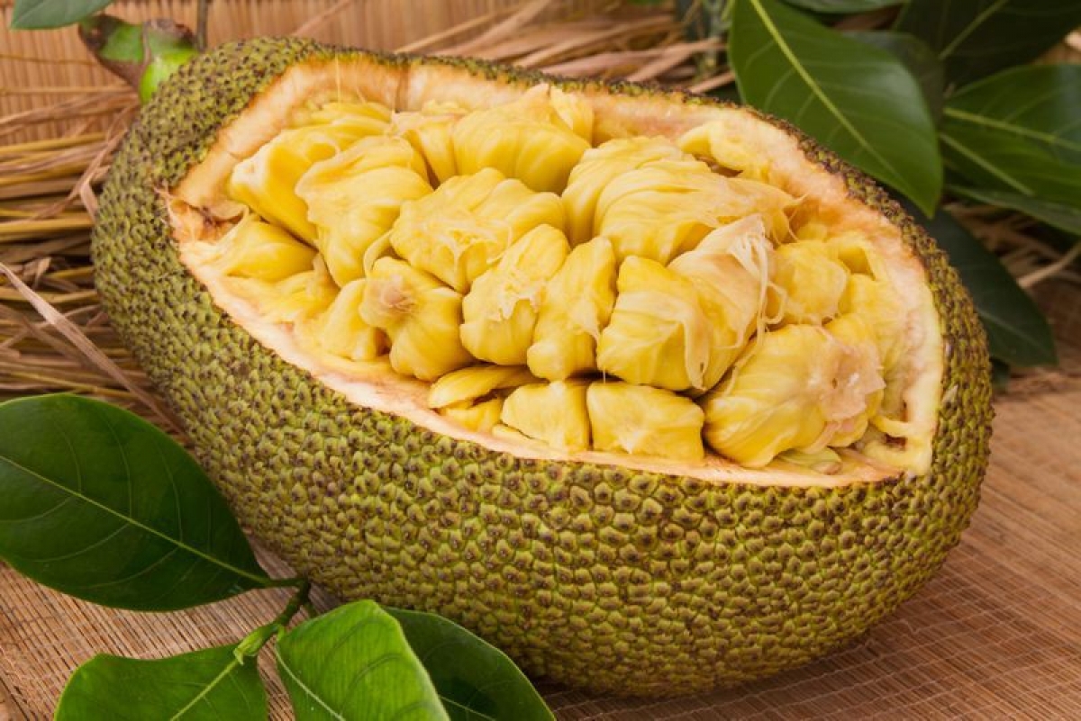 Ăn mít giúp tăng cường hệ miễn dịch