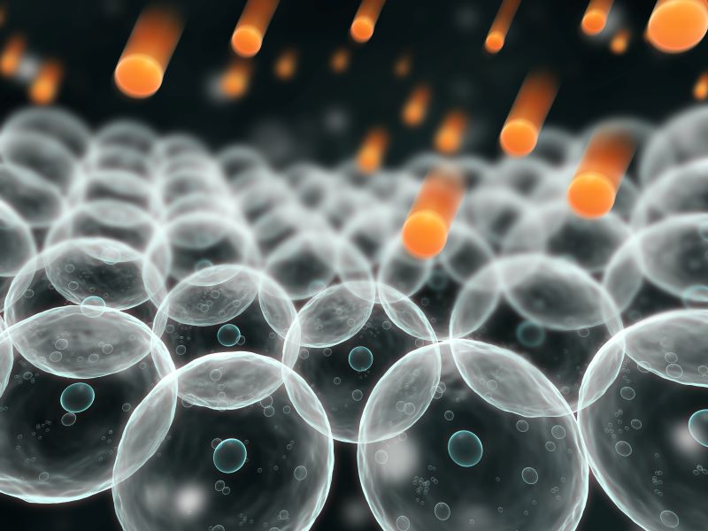 Ăn mướp đắng giúp chống lại các gốc tự do