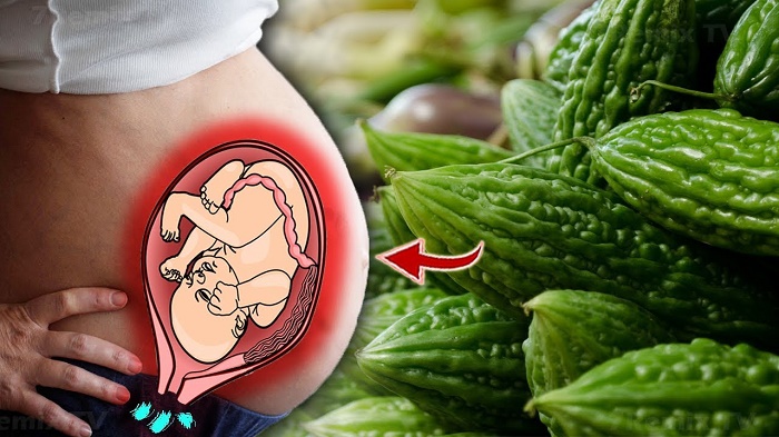 Bà bầu không nên ăn mướp đắng để đảm bảo sức khỏe cho thai nhi