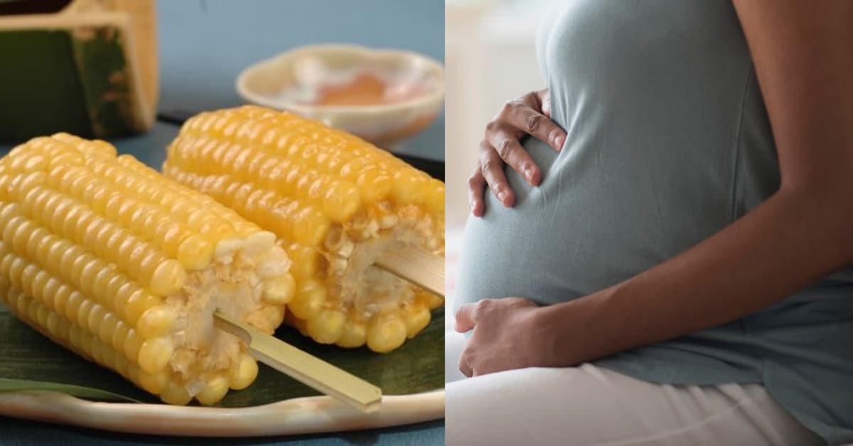 Bà bầu ăn bắp ngô giúp ngăn ngừa ung thư