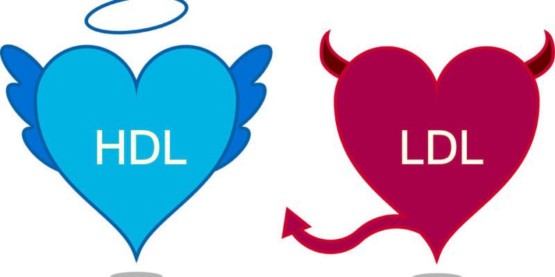 Tăng cholesterol tốt cho bà bầu