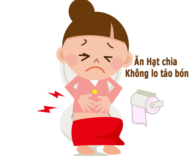 Ăn hạt chia giúp cải thiện tình trạng táo bón thai kỳ