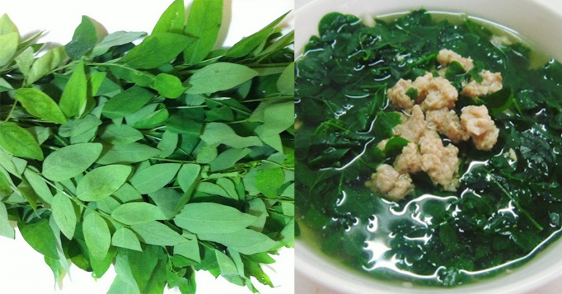 Rau ngót là loại rau giúp lợi sữa được nhiều bà đẻ lựa chọn