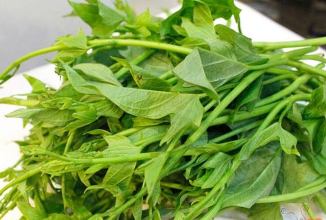 Ăn rau lang rất tốt cho hệ tiêu hóa 