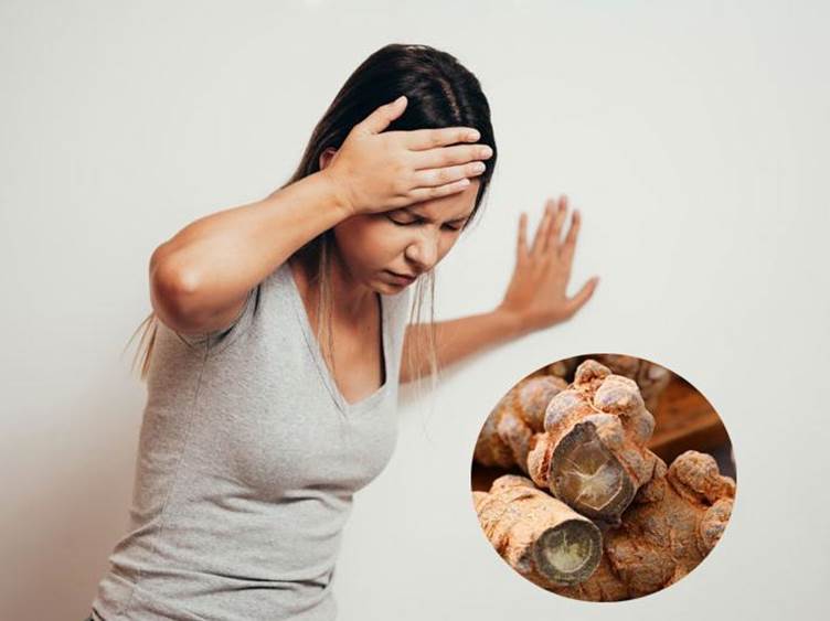 Bột tam thất trộn mật ong có tác dụng gì?